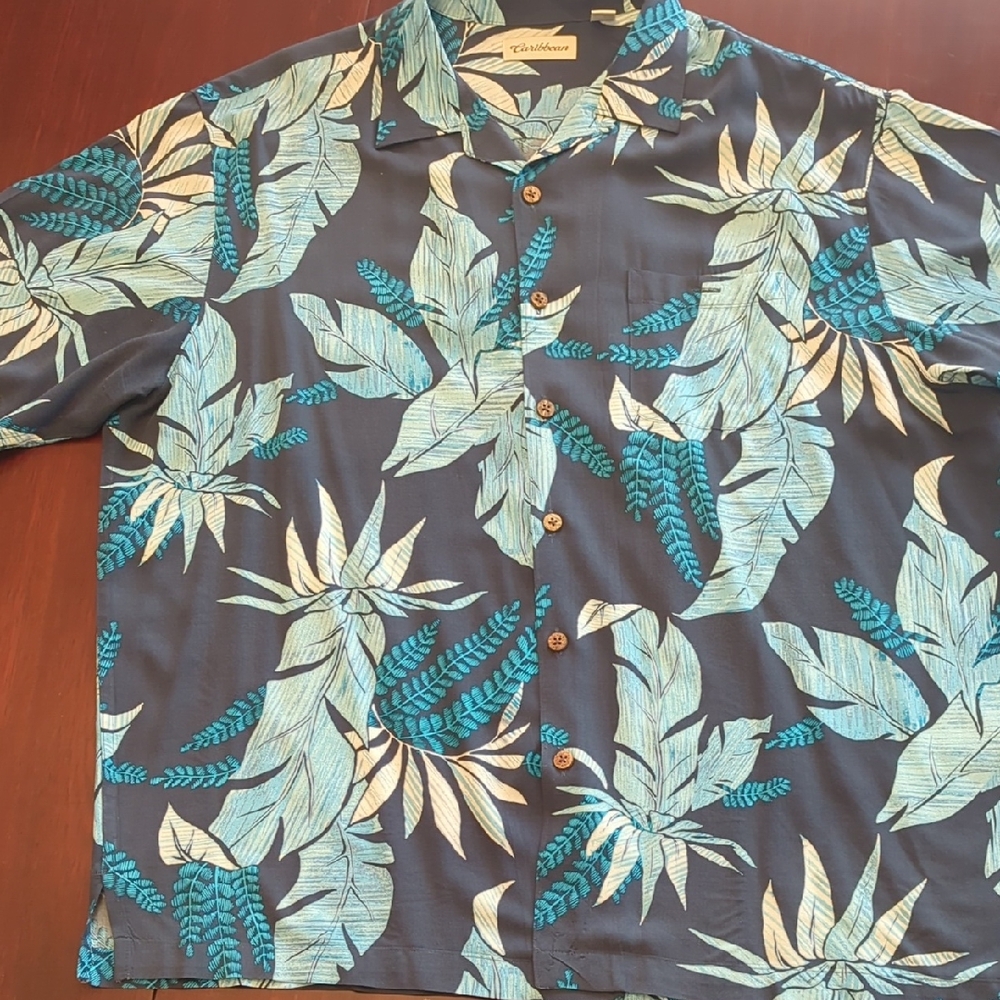 Caribbean Blue and Gray Casual Button Down Shirt